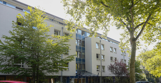 Matrica Mentoov main image 1